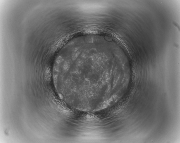 X0000101440641200807281024