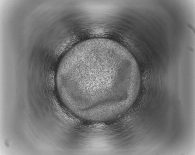 X0000101440642200807281024