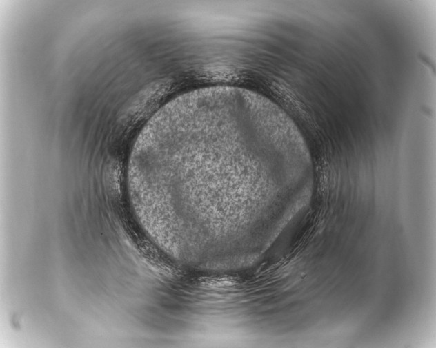 X0000101440643200807281024