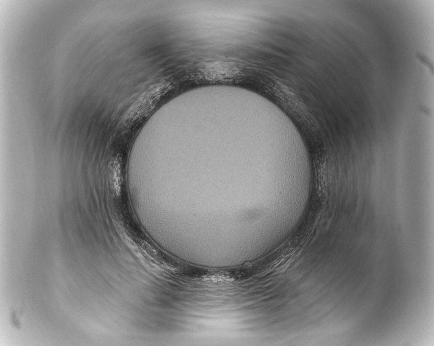 X0000101440644200807281024