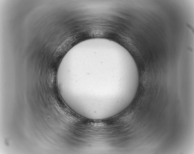 X0000101440645200807281024