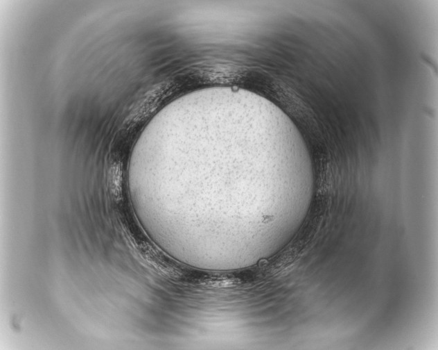 X0000101440646200807281024