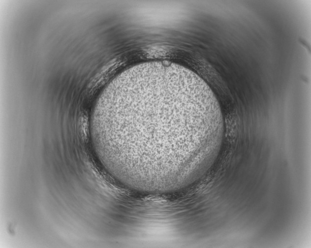 X0000101440648200807281024