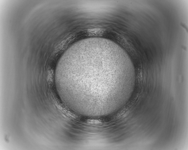 X0000101440649200807281024