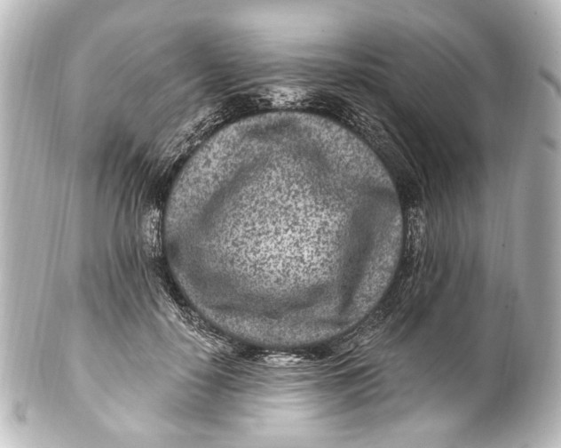 X0000101440650200807281024