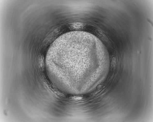 X0000101440651200807281024