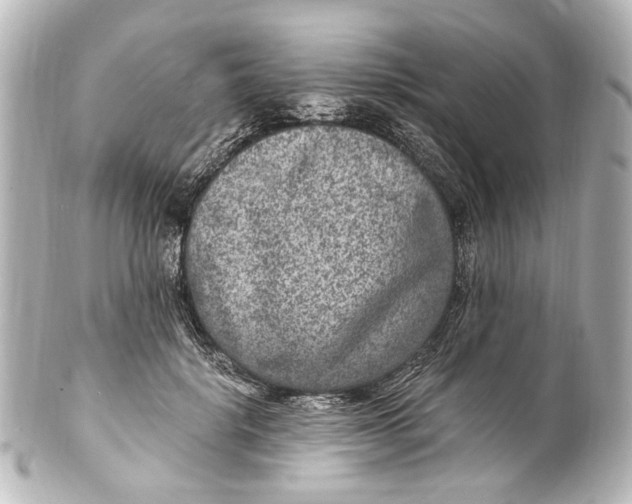 X0000101440652200807281024