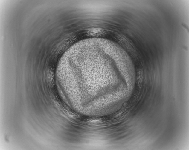 X0000101440653200807281024