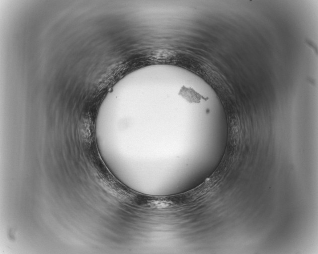 X0000101440654200807281024