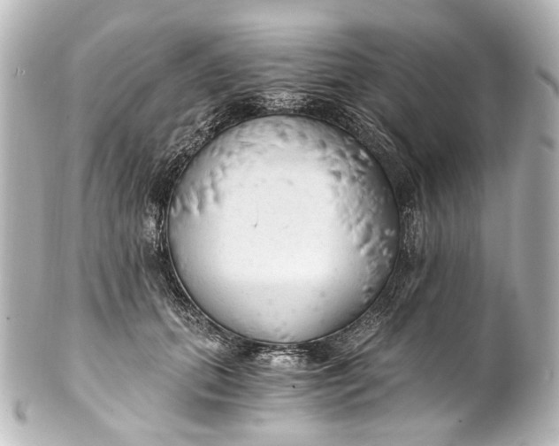 X0000101440655200807281024