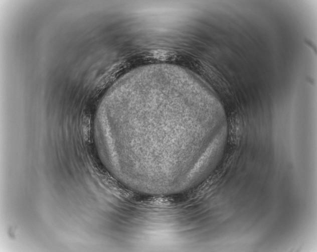 X0000101440656200807281024