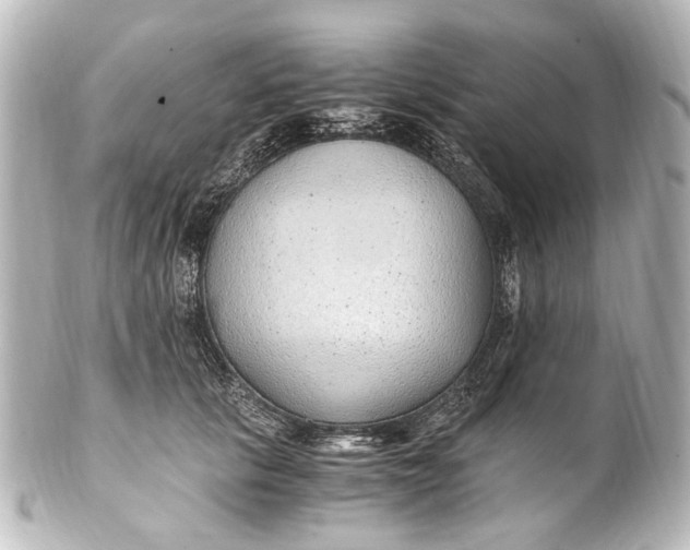 X0000101440657200807281024