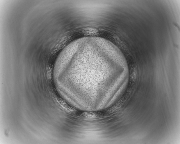 X0000101440658200807281024