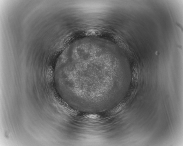 X0000101440659200807281024