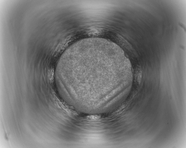 X0000101440660200807281024