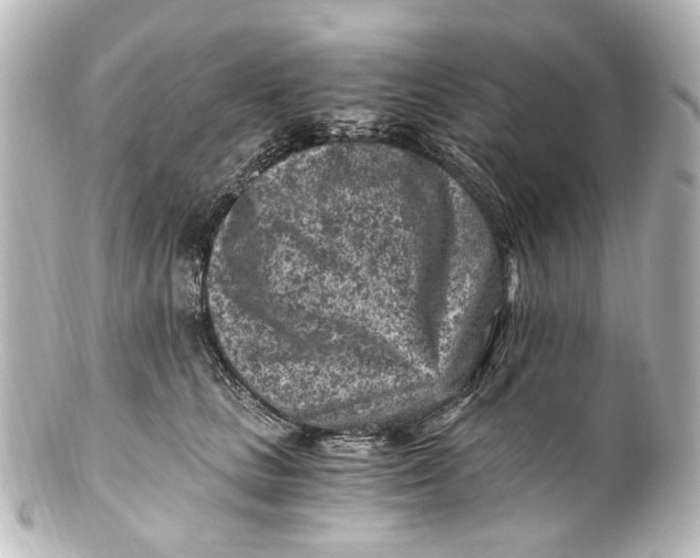 X0000101440661200807281024