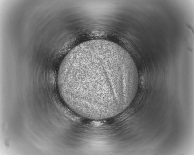 X0000101440662200807281024