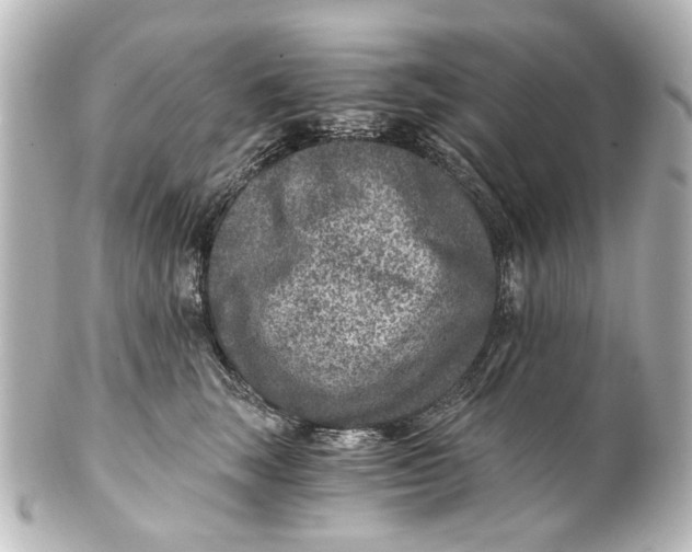 X0000101440663200807281024