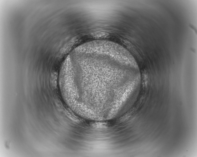 X0000101440664200807281024