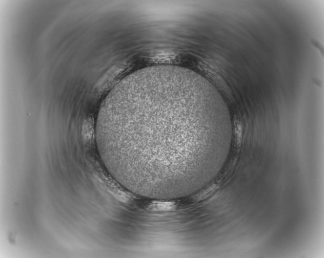 X0000101440665200807281024