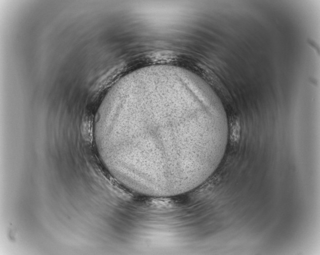 X0000101440666200807281024