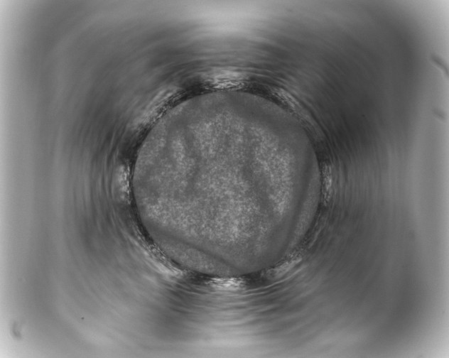 X0000101440667200807281024