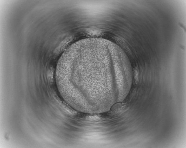 X0000101440668200807281024