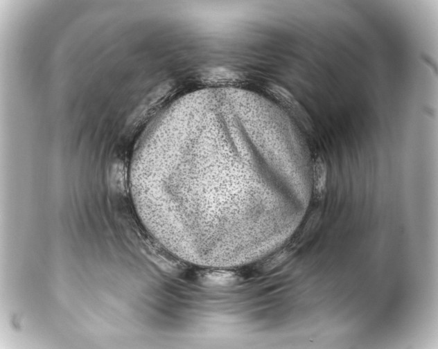 X0000101440669200807281024