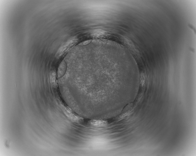 X0000101440670200807281024