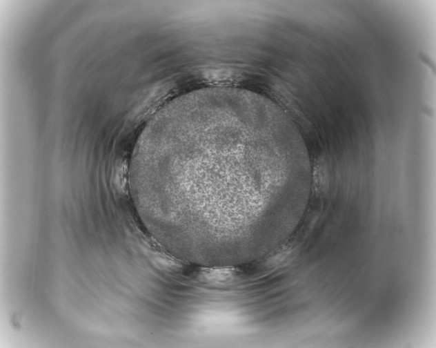 X0000101440671200807281024