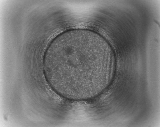 X0000101440673200807281023