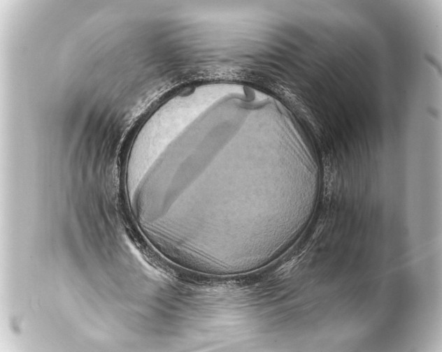 X0000101440674200807281023