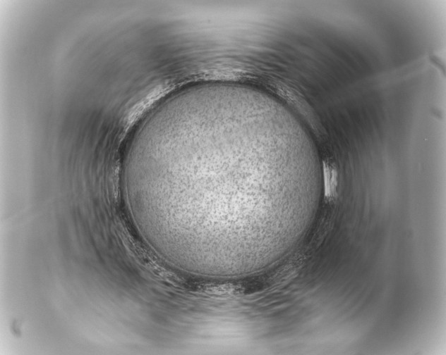 X0000101440675200807281023