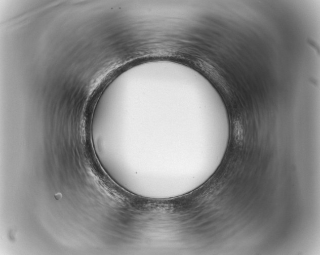 X0000101440676200807281023