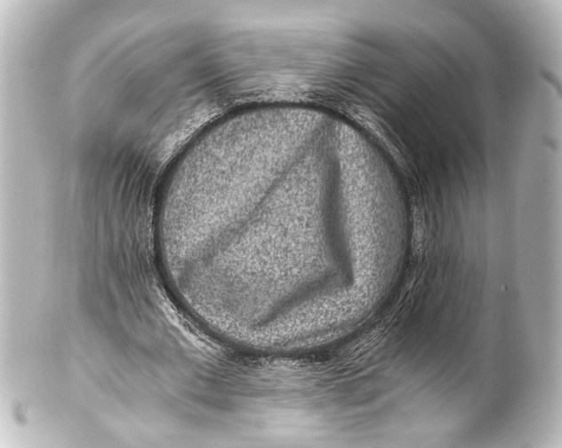 X0000101440677200807281023