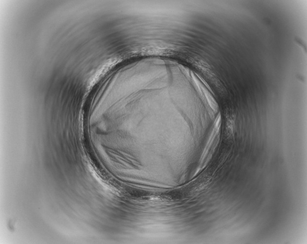 X0000101440678200807281023