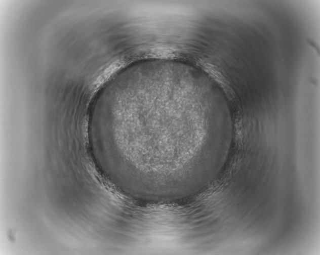 X0000101440679200807281023