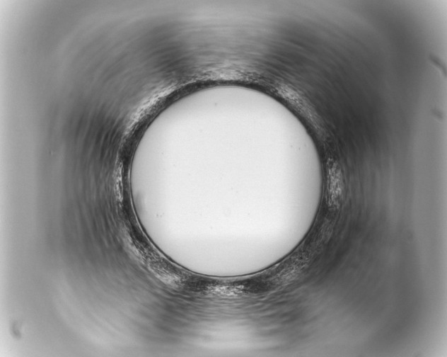 X0000101440680200807281023