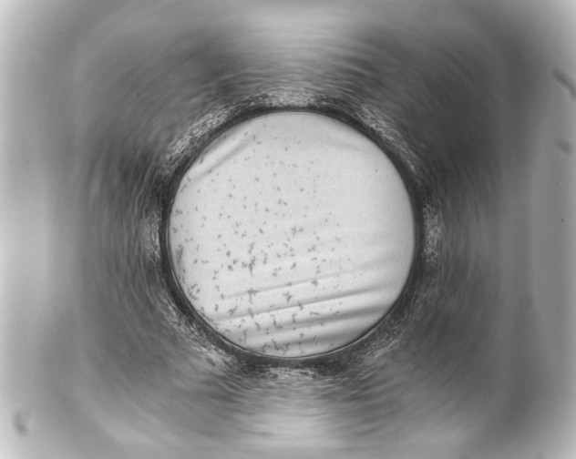 X0000101440681200807281023