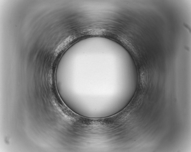 X0000101440682200807281023