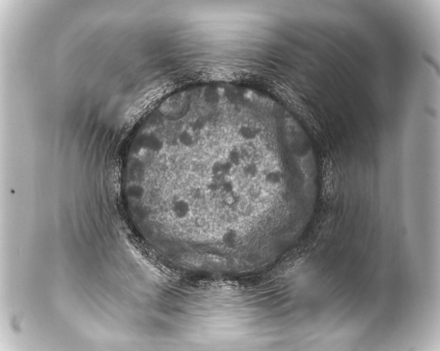 X0000101440683200807281023