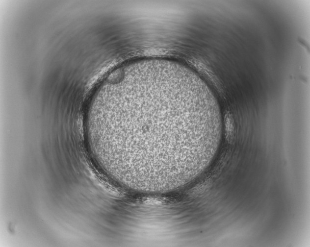 X0000101440684200807281023