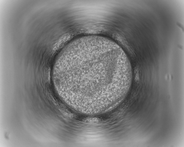 X0000101440685200807281023