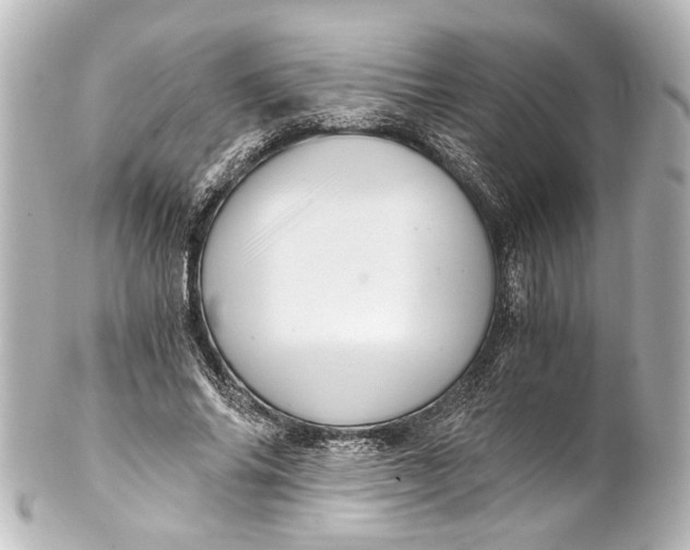 X0000101440686200807281023