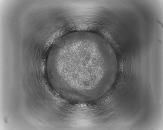 X0000101440687200807281023