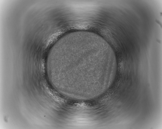 X0000101440688200807281023