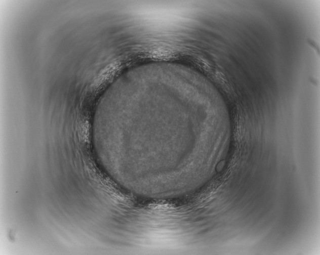 X0000101440689200807281023