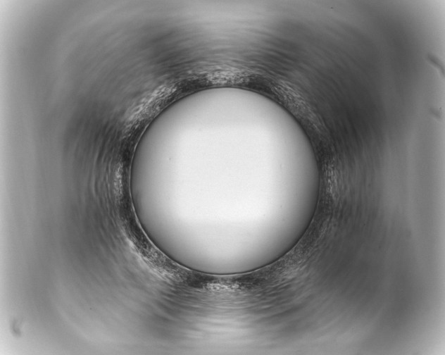 X0000101440690200807281023