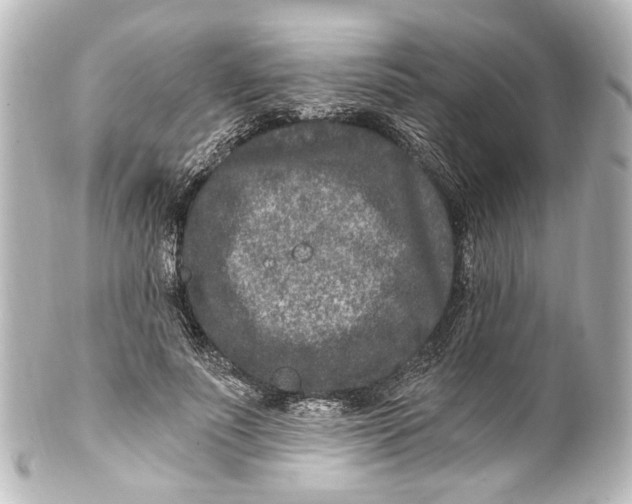 X0000101440691200807281023