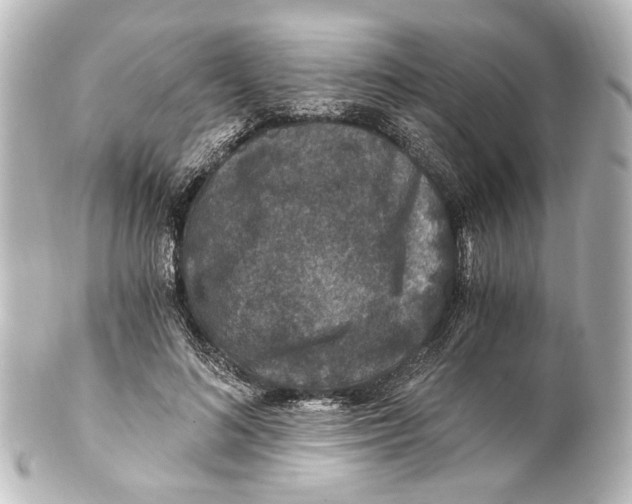 X0000101440692200807281023